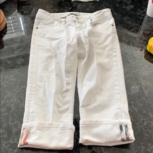 Burberry pants